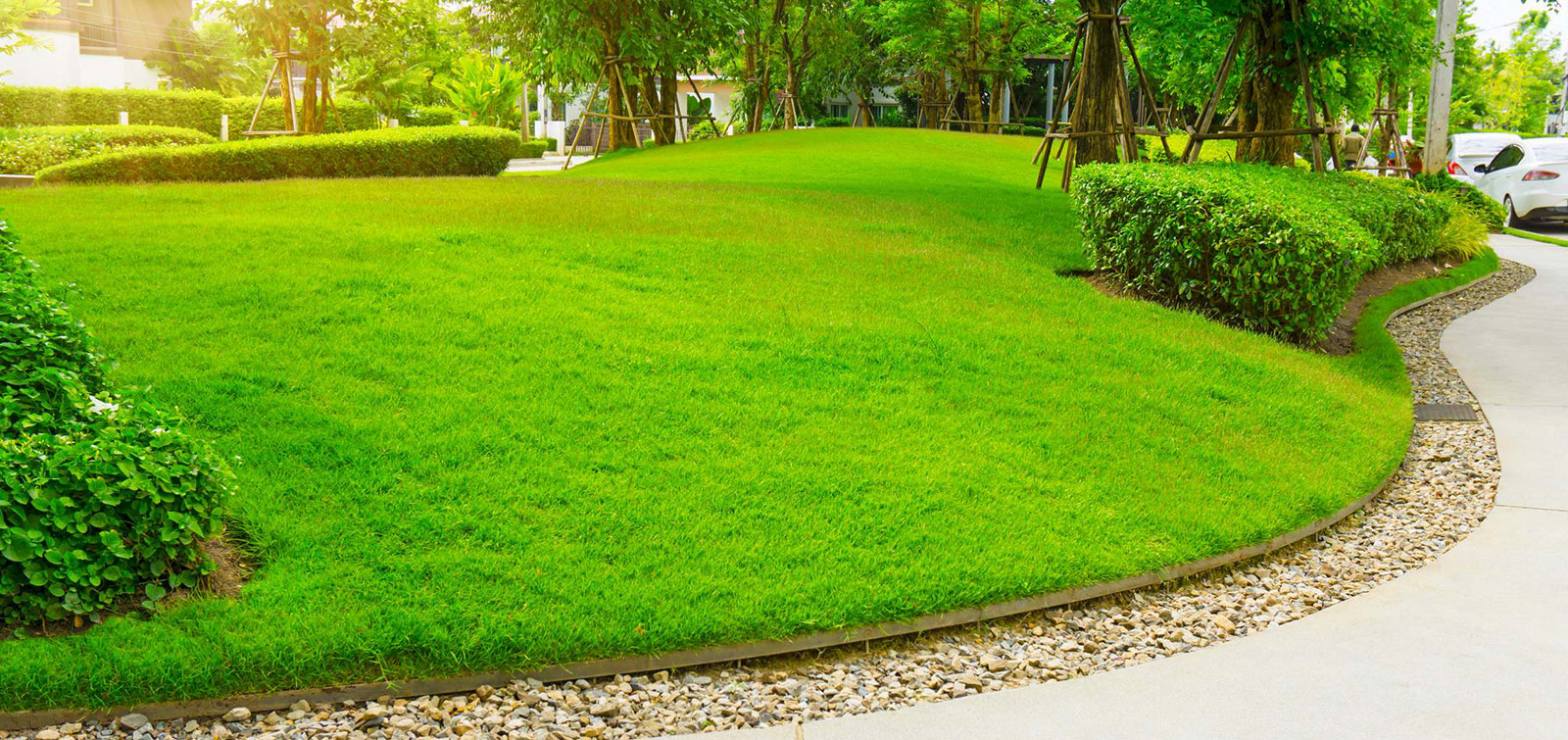 Leaders in Construction, Landscaping, and More